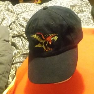 Steve Miller Band Hat